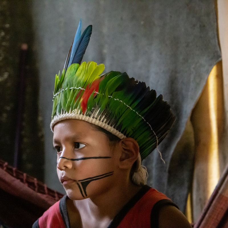 A língua indígena no Brasil