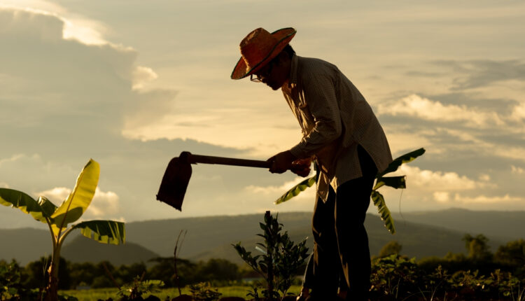 ATENÇÃO: Mudança na regra da Previdência para produtores rurais é aprovada