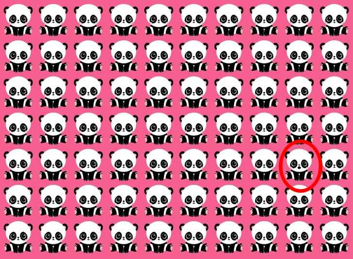 Encontre o panda