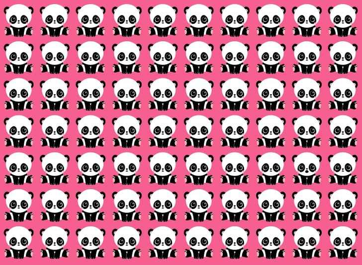 Encontre o panda