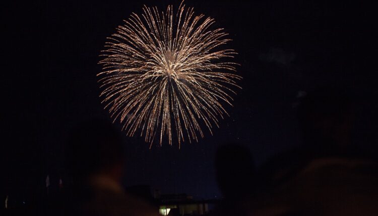 Veja 5 dicas para proteger o seu cachorro dos fogos de artifício