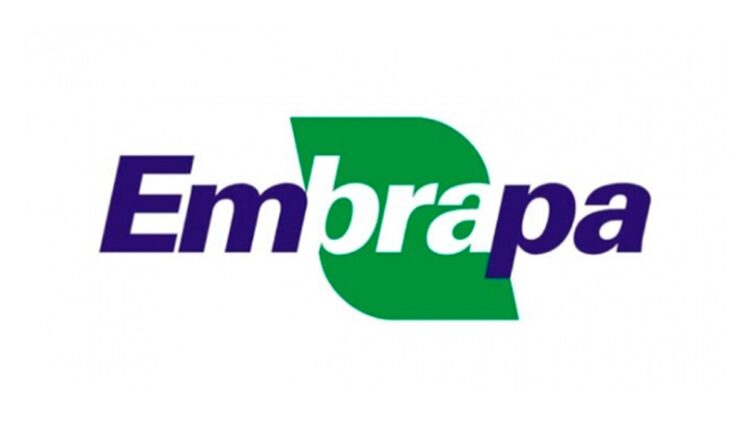 Oportunidade: 101 cursos gratuitos online da Embrapa abrem inscrições