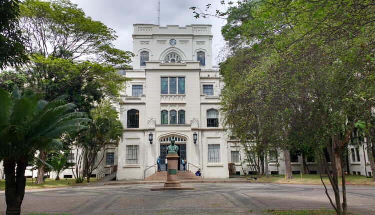 USP abre vagas em 45 novos cursos gratuitos; veja lista e saiba como se inscrever