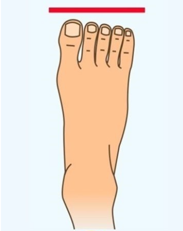 Formato do pé