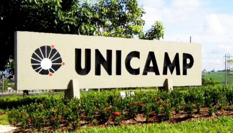 OPORTUNIDADE: cursos GRATUITOS da Unicamp para começar hoje mesmo