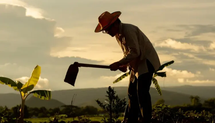 TUDO sobre a aposentadoria rural por idade em 2024: Mudanças e requisitos