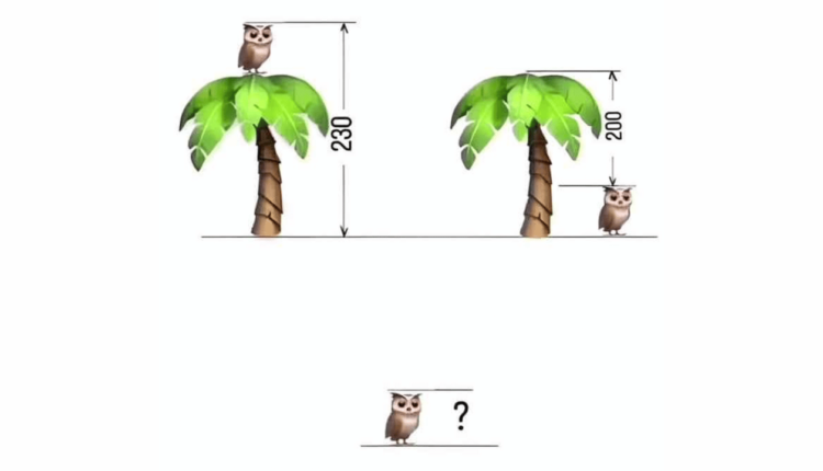 calcular as alturas