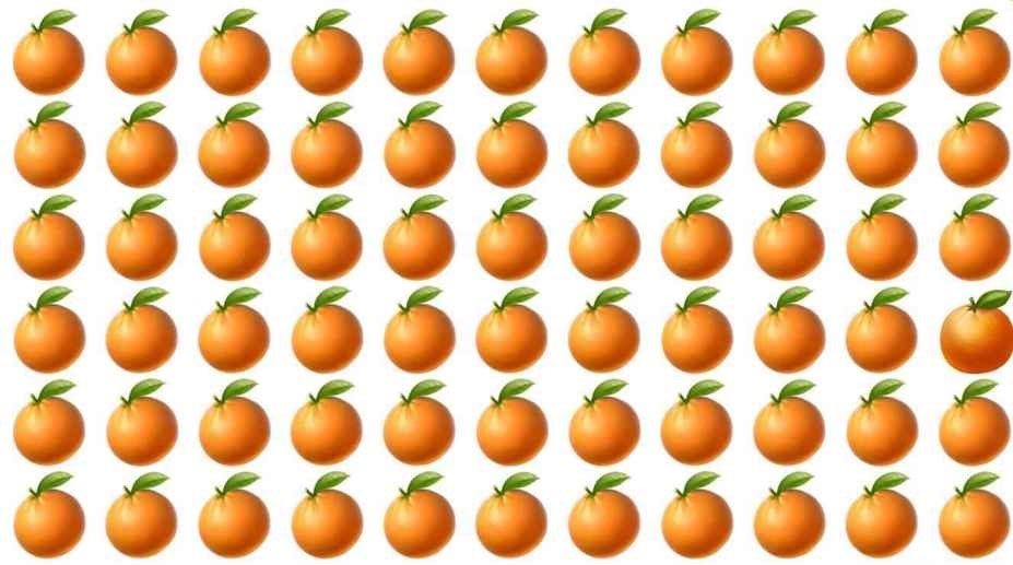 Teste de aptidão visual: encontra a única laranja diferente na imagem em menos de 10 segundos