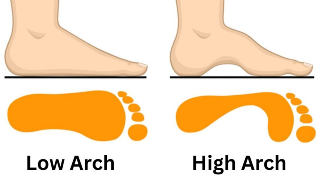 Arcos dos pés