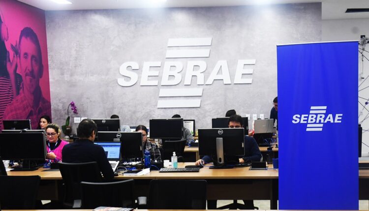 Sebrae oferece mais de 360 vagas em cursos online EAD; saiba como se inscrever