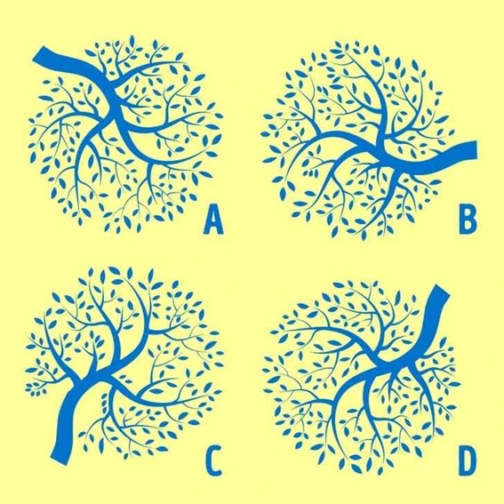 Teste de memória: Encontre duas árvores idênticas na imagem agora mesmo!