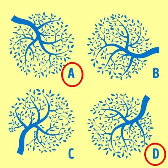Teste de memória: Encontre duas árvores idênticas na imagem agora mesmo!