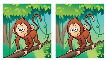 Jogo de 5 erros: Encontre as diferenças entre as imagens do macaco em 10 segundos