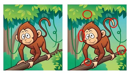 Jogo de 5 erros: Encontre as diferenças entre as imagens do macaco em 10 segundos