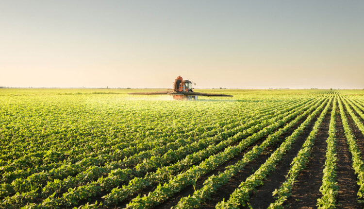 Conheça a profissão que está em alta no agronegócio e que tem salário de até R$ 15 MIL