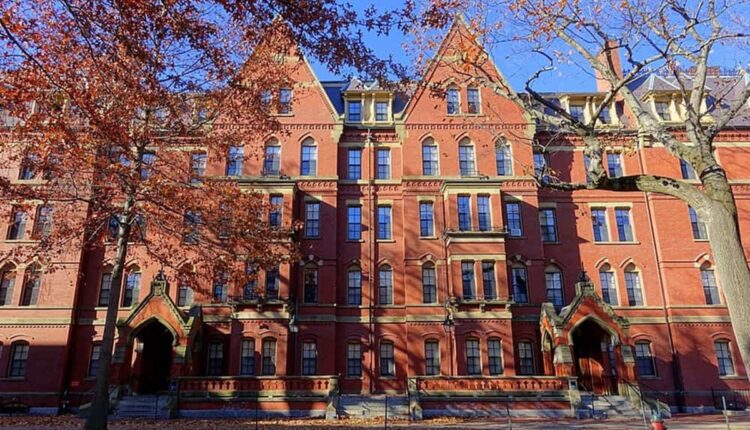 Oportunidade! Harvard oferece cursos gratuitos com legendas em português; saiba mais