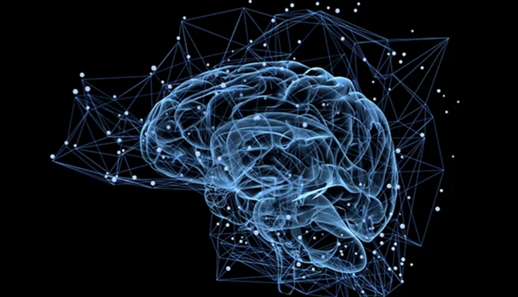 Treine seu cérebro e seja MAIS inteligente; descubra como