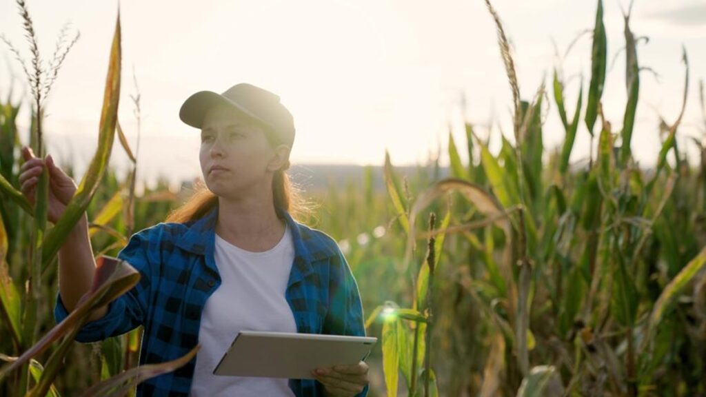 Estas 7 profissões são ideais para quem quer trabalhar no campo