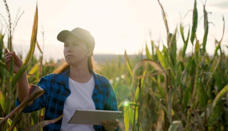 Estas 7 profissões são ideais para quem quer trabalhar no campo