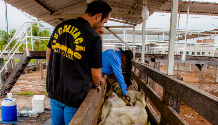 Curso Defesa Sanitária Animal GRATUITO, Online e com certificado