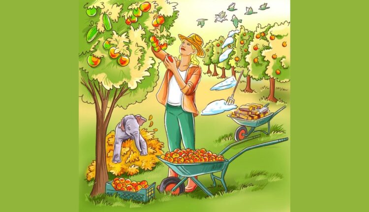 Desvende os erros da imagem da mulher colhendo maçãs