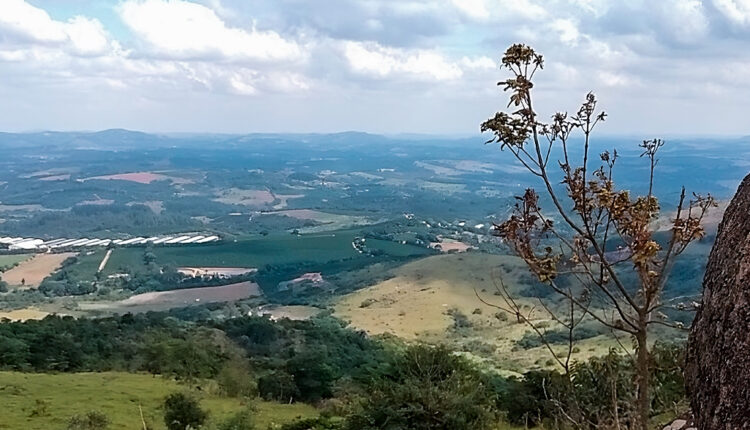 Concurso Prefeitura em MG: receba até R$ 12.783,31!