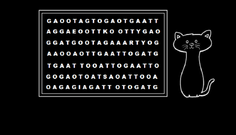 Que tal um pequeno teste para ver como está sua agilidade mental? Apresentamos a você um desafio de encontrar a palavra "gato".