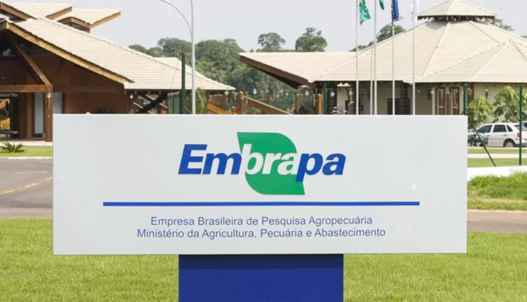 Concurso da Embrapa: novo edital deve ser divulgado ainda no primeiro semestre