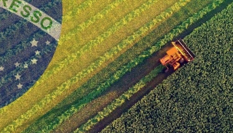 Conheça as profissões que estão em alta no agronegócio