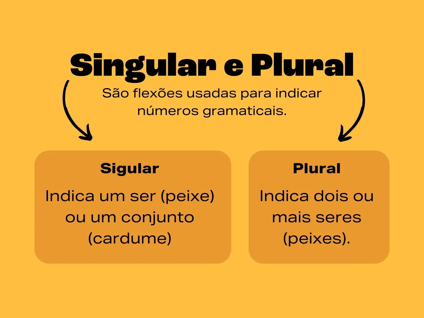 Português sem erros! Você sabe as regras básicas do plural? Aprenda agora!
