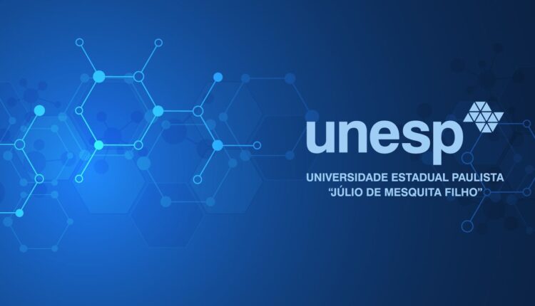 Vestibular Unesp 2025