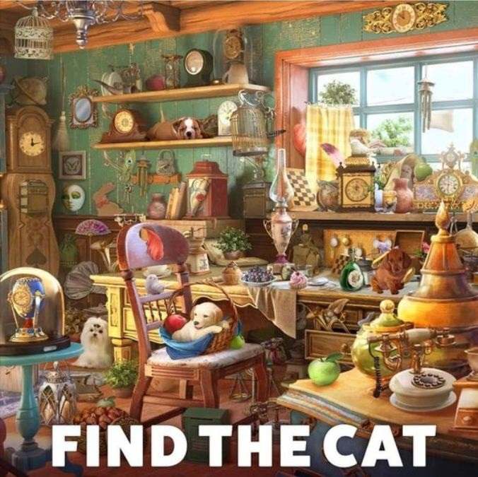 Encontre o gato na imagem.