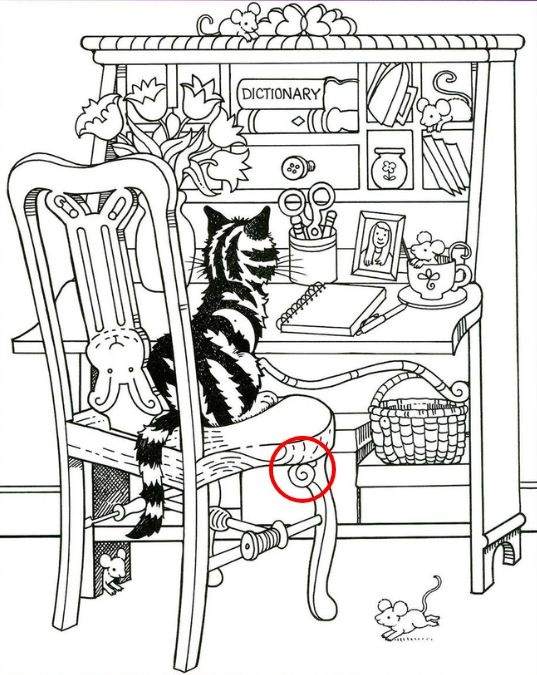 Resposta de onde está o caracol na imagem do gato.