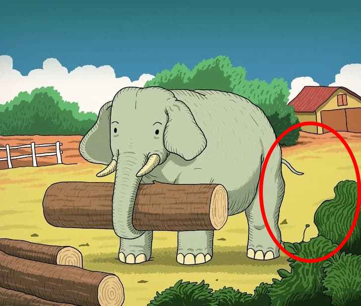 Resposta de onde está o cavalo na imagem do elefante.