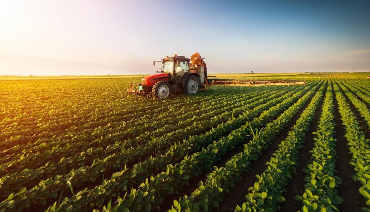 Colhendo SUCESSO! Profissões de destaque no agronegócio brasileiro