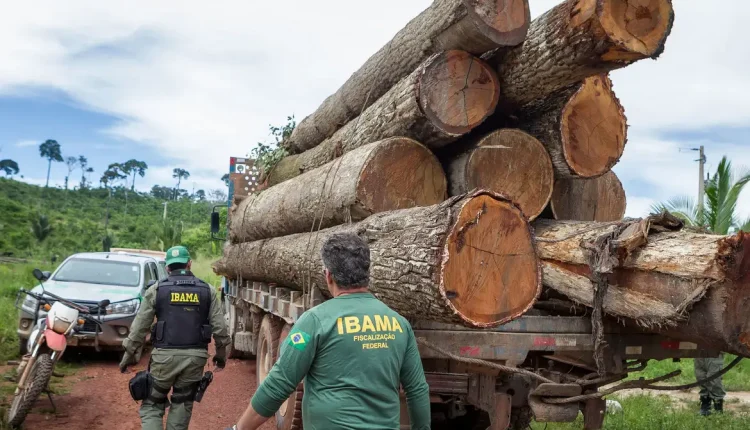 Concurso Ibama! Imagem: Agência Brasil