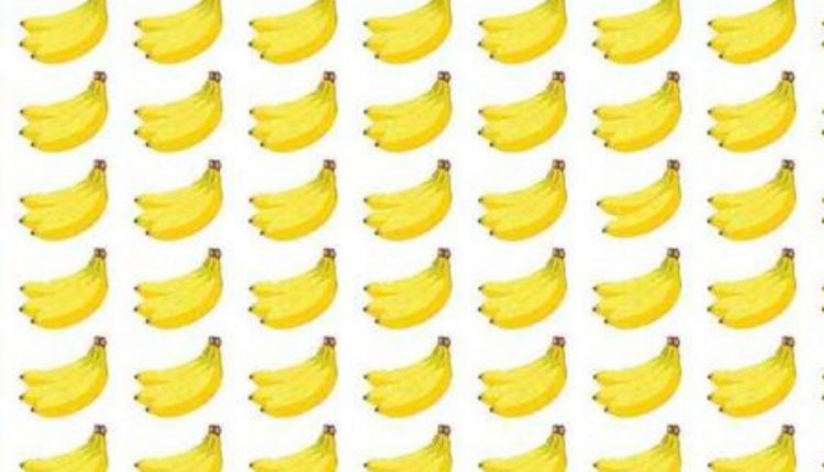 Teste de ilusão de ótica encontre o cacho de bananas diferente em menos de segundos Imagem Canva Pró