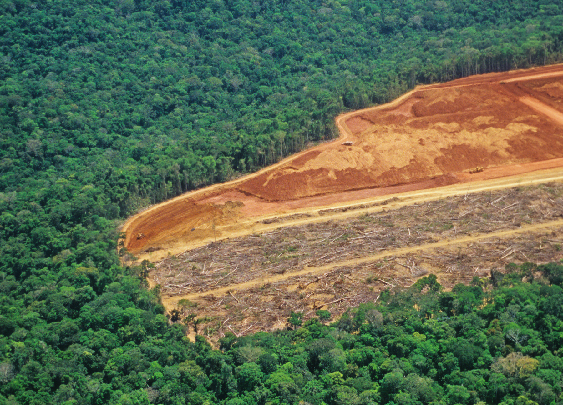 Retrato do desmatamento na Amazônia. Imagem: luoman | Crédito: Getty Images