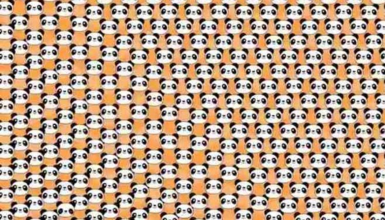 Encontre o panda diferente na imagem.