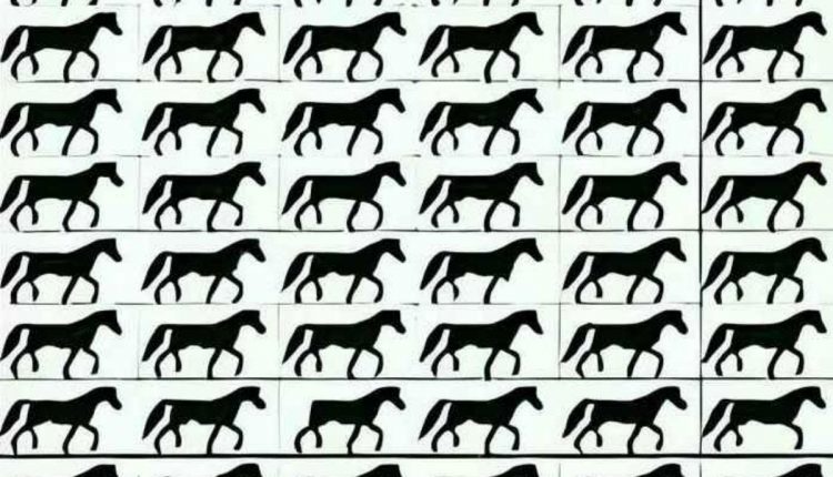 Encontre os 3 cavalos de 3 pernas.