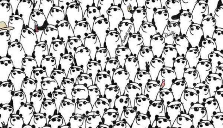 Encontre os pandas sem óculos na imagem.