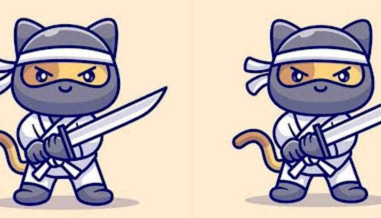 gato ninja