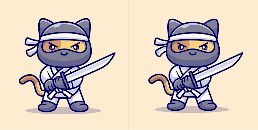 gato ninja