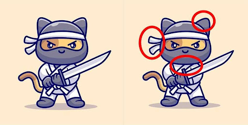 gato ninja