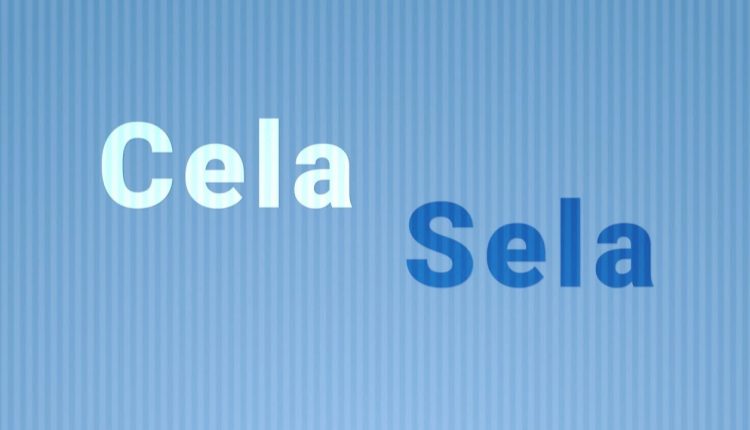 "Cela" ou "sela"? Como escrever corretamente?