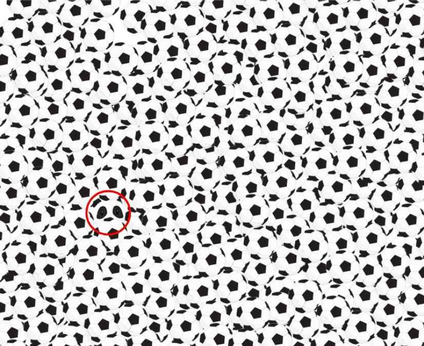 Resposta de onde está o panda entre as bolas de futebol.