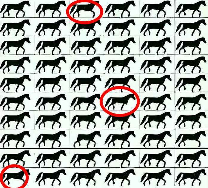 Resposta de onde estão os 3 cavalos de 3 pernas.