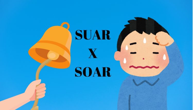 Suar ou soar: você conhece a diferença?