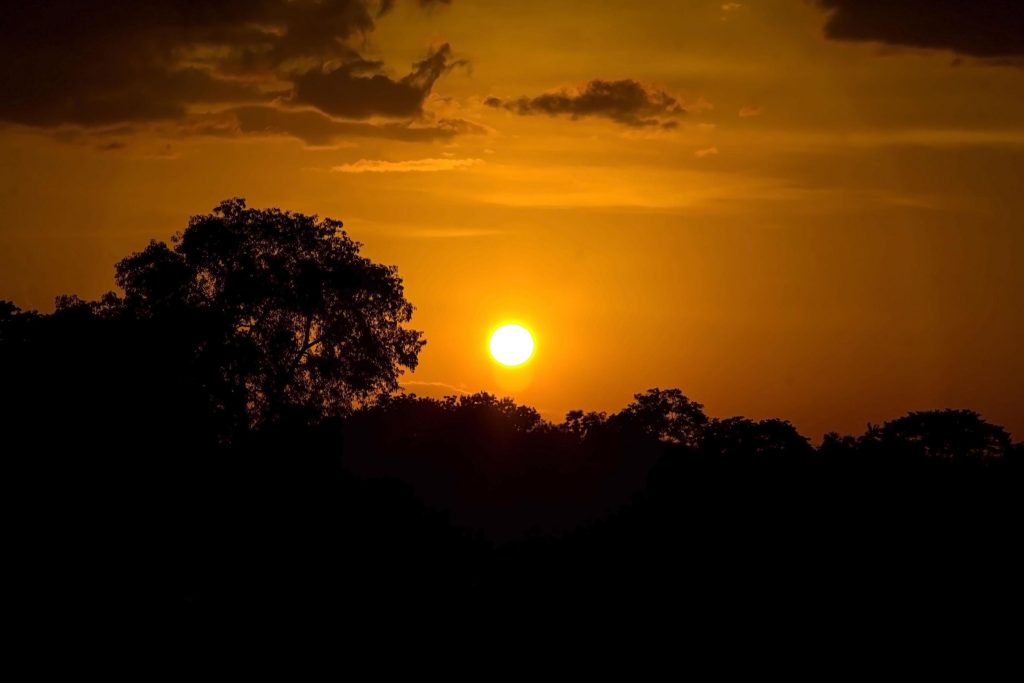 Dúvidas de Português: você sabe qual o coletivo de SOL?