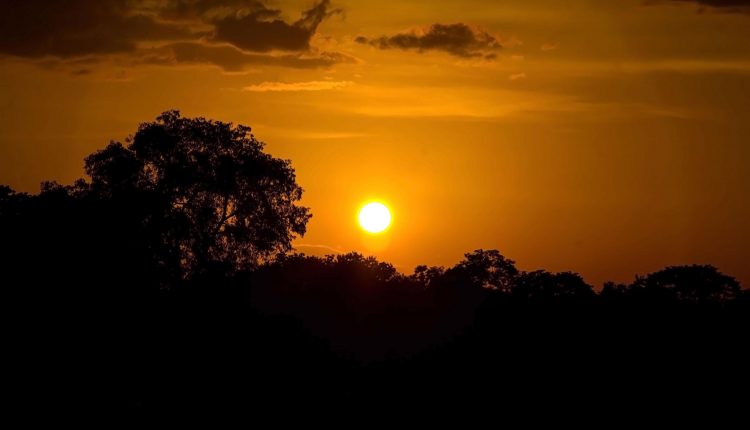 Dúvidas de Português: você sabe qual o coletivo de SOL?